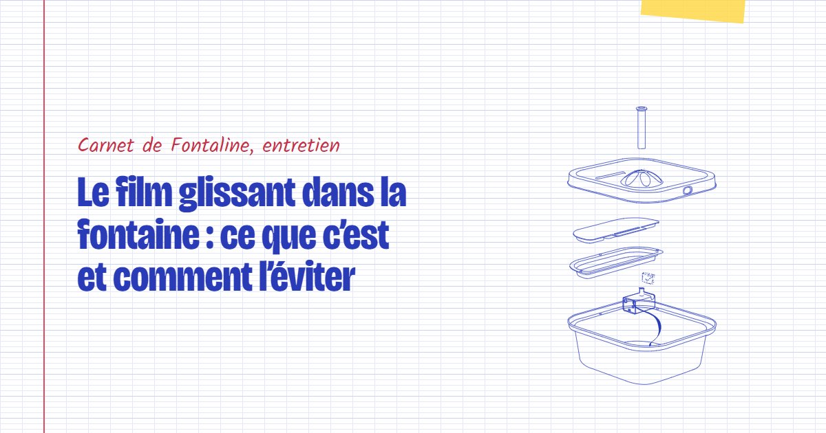 Couverture du carnet Fontaline : Le film glissant dans la fontaine : ce que c’est et comment l’éviter