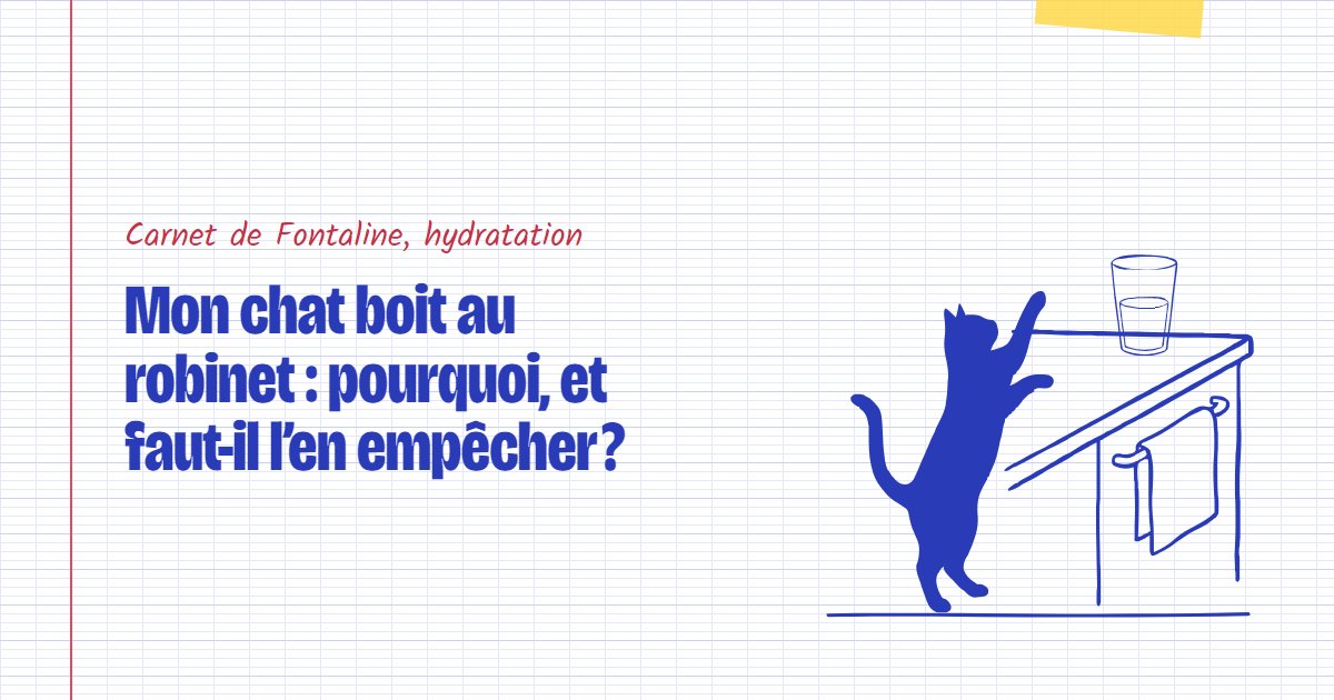 Couverture du carnet Fontaline : Mon chat boit au robinet : pourquoi, et faut-il l’en empêcher ?