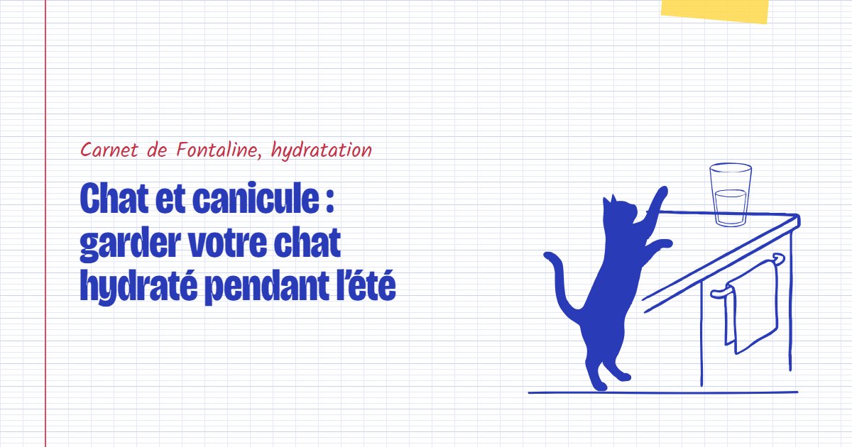Couverture du carnet Fontaline : Chat et canicule : garder votre chat hydraté pendant l’été