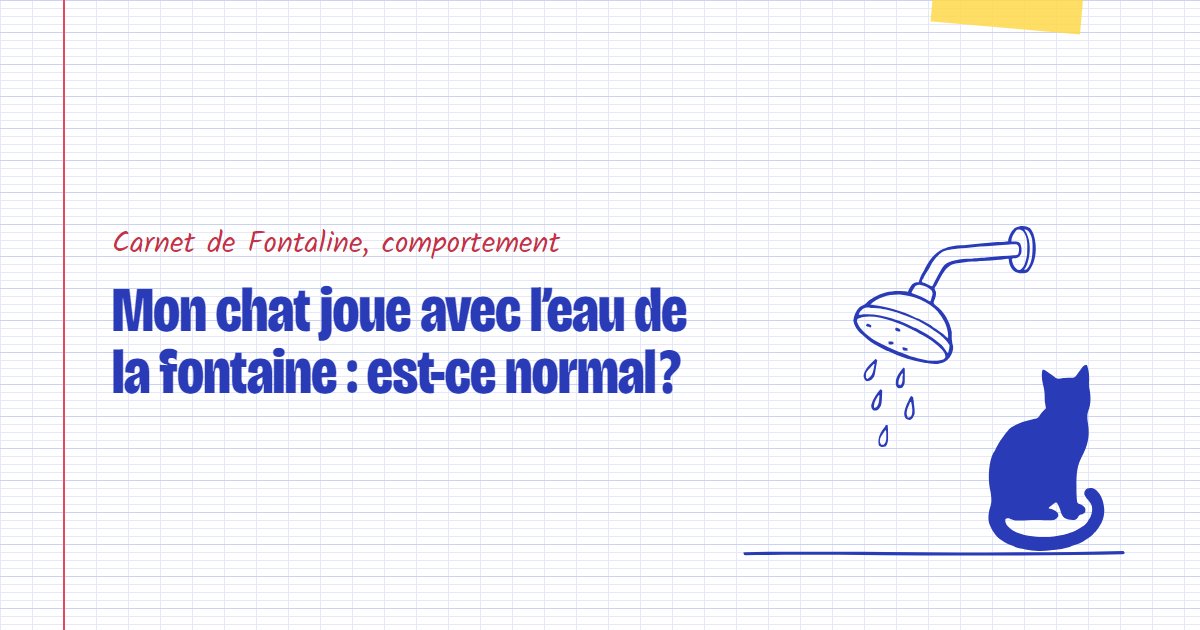 Couverture du carnet Fontaline : Mon chat joue avec l’eau de la fontaine : est-ce normal ?