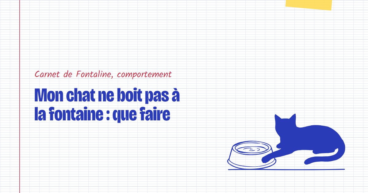 Couverture du carnet Fontaline : Mon chat ne boit pas à la fontaine : que faire