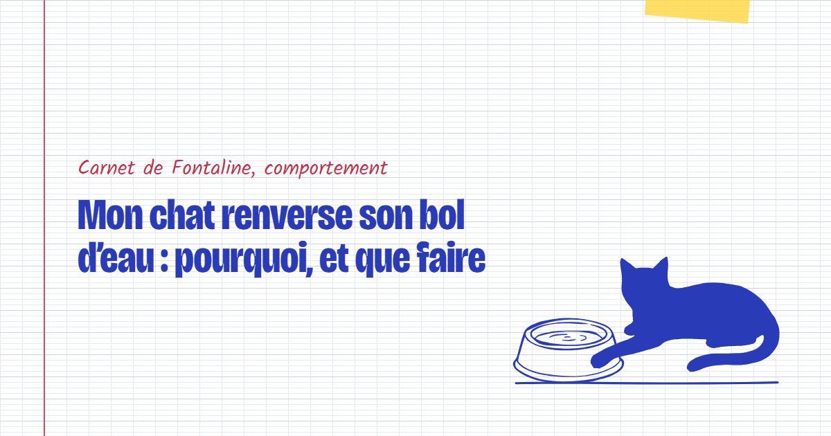 Couverture du carnet Fontaline : Mon chat renverse son bol d’eau : pourquoi, et que faire