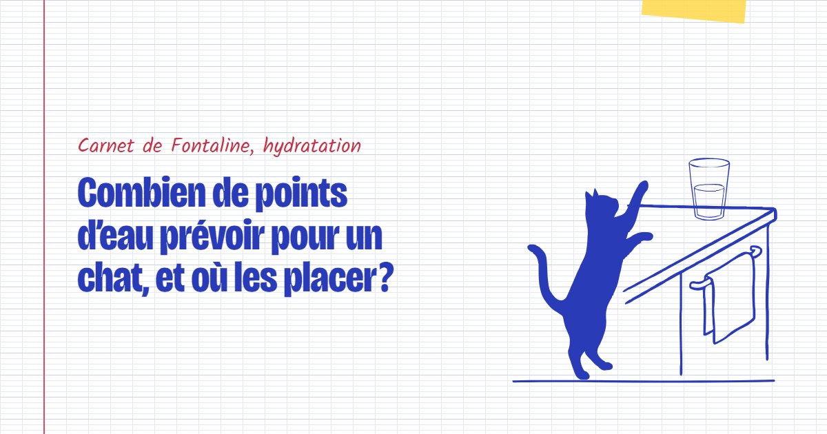 Couverture du carnet Fontaline : Combien de points d’eau prévoir pour un chat, et où les placer ?