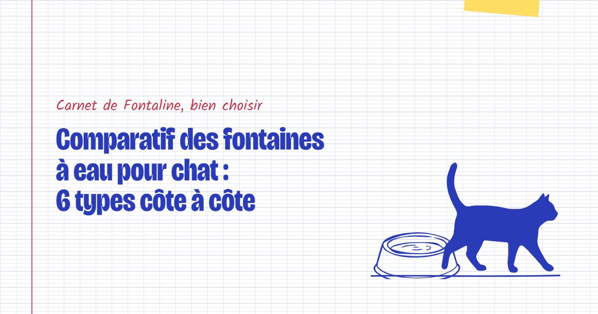 Comparatif des fontaines à eau pour chat : 6 types côte à côte