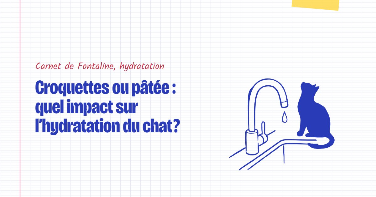 Couverture du carnet Fontaline : Croquettes ou pâtée : quel impact sur l’hydratation du chat ?
