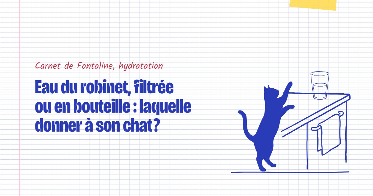 Couverture du carnet Fontaline : Eau du robinet, filtrée ou en bouteille : laquelle donner à son chat ?