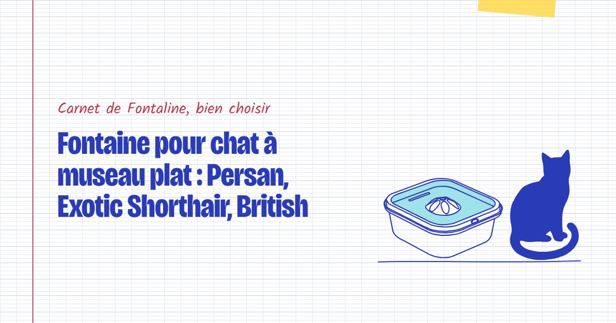 Couverture du carnet Fontaline : Fontaine pour chat à museau plat : Persan, Exotic Shorthair, British