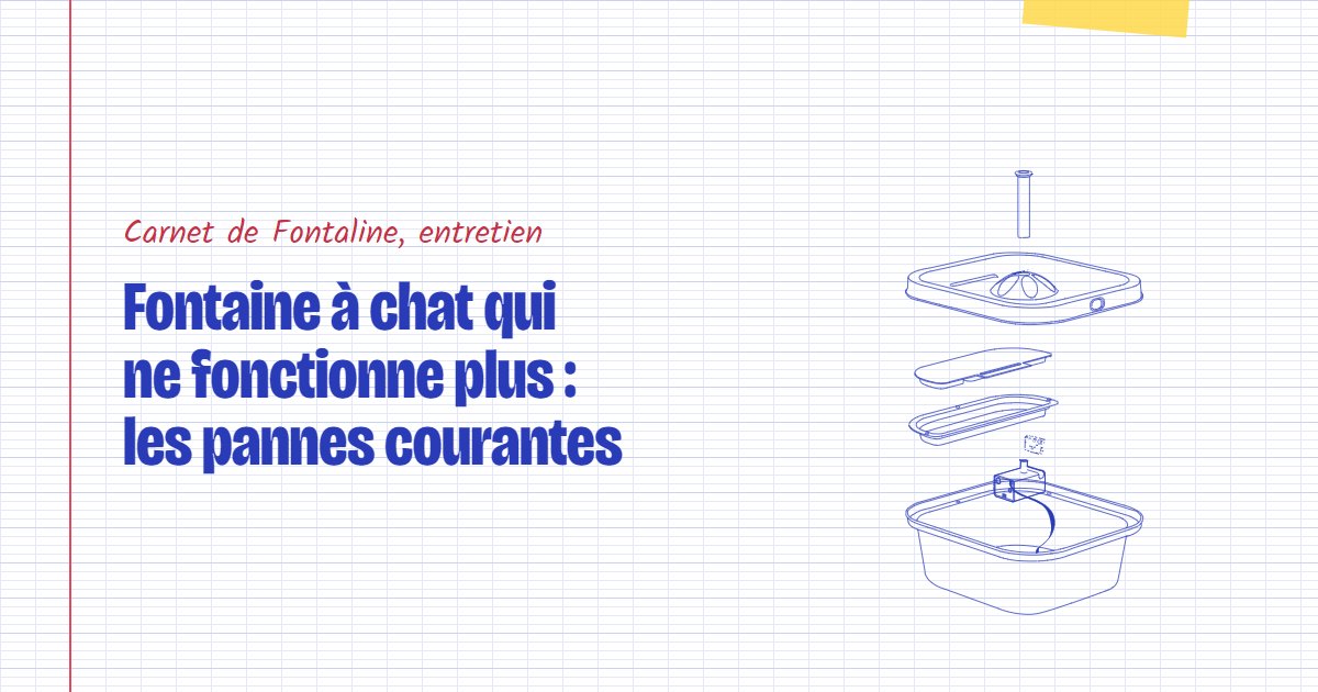 Couverture du carnet Fontaline : Fontaine à chat qui ne fonctionne plus : les pannes courantes