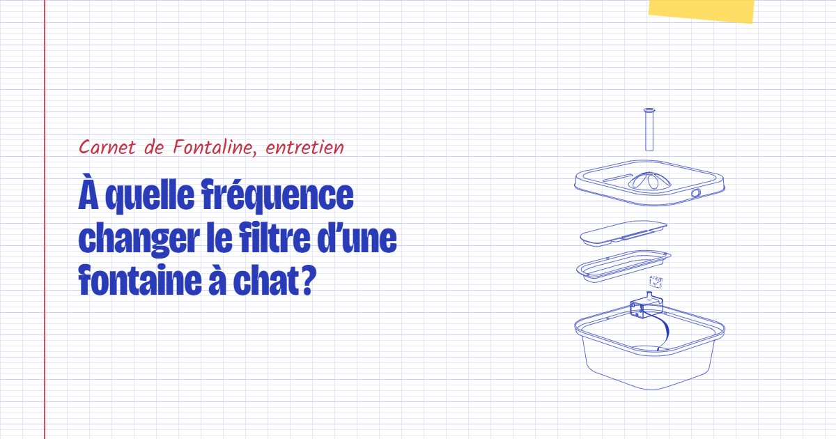 Couverture du carnet Fontaline : À quelle fréquence changer le filtre d’une fontaine à chat ?