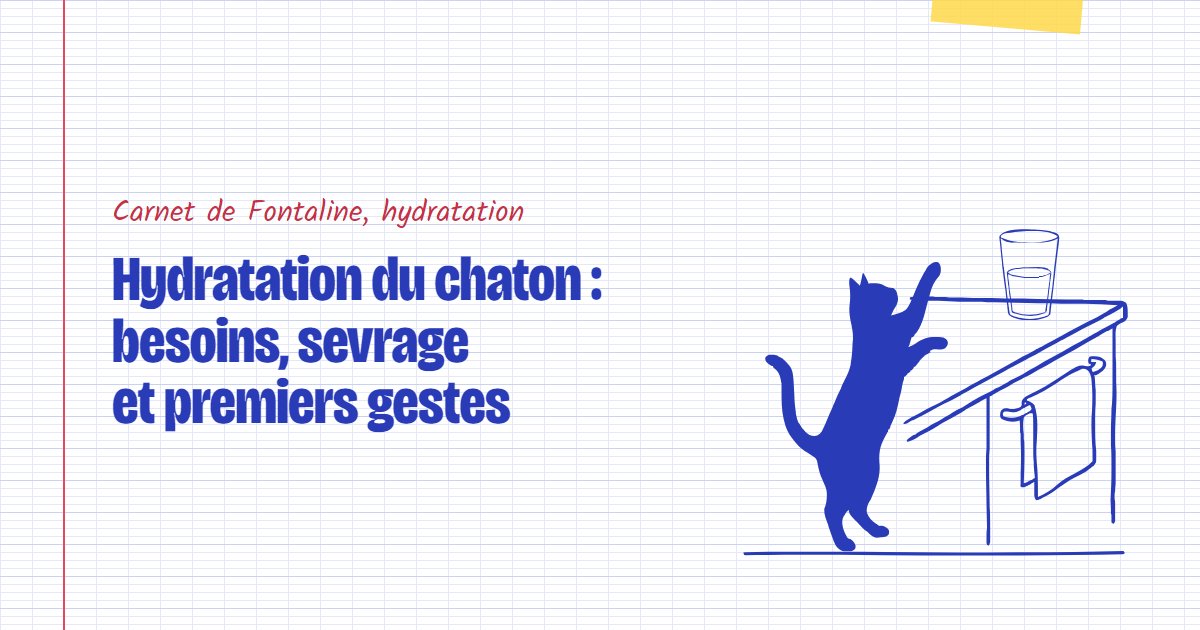 Couverture du carnet Fontaline : Hydratation du chaton : besoins, sevrage et premiers gestes