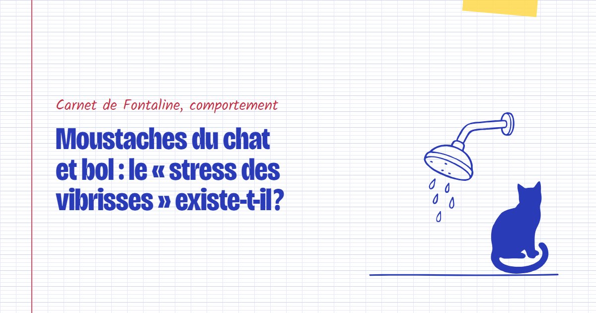 Couverture du carnet Fontaline : Moustaches du chat et bol : le « stress des vibrisses » existe-t-il ?