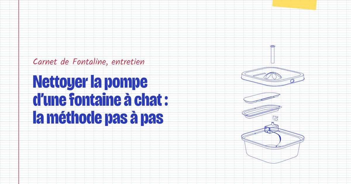 Couverture du carnet Fontaline : Nettoyer la pompe d’une fontaine à chat : la méthode pas à pas