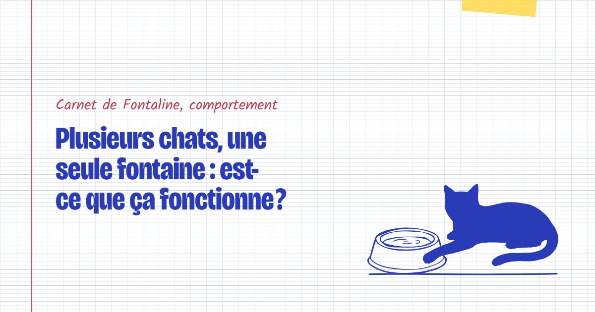 Couverture du carnet Fontaline : Plusieurs chats, une seule fontaine : est-ce que ça fonctionne ?