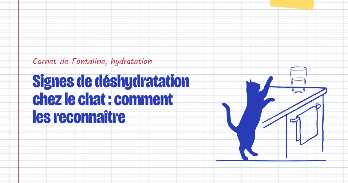 Couverture du carnet Fontaline : Signes de déshydratation chez le chat : comment les reconnaître