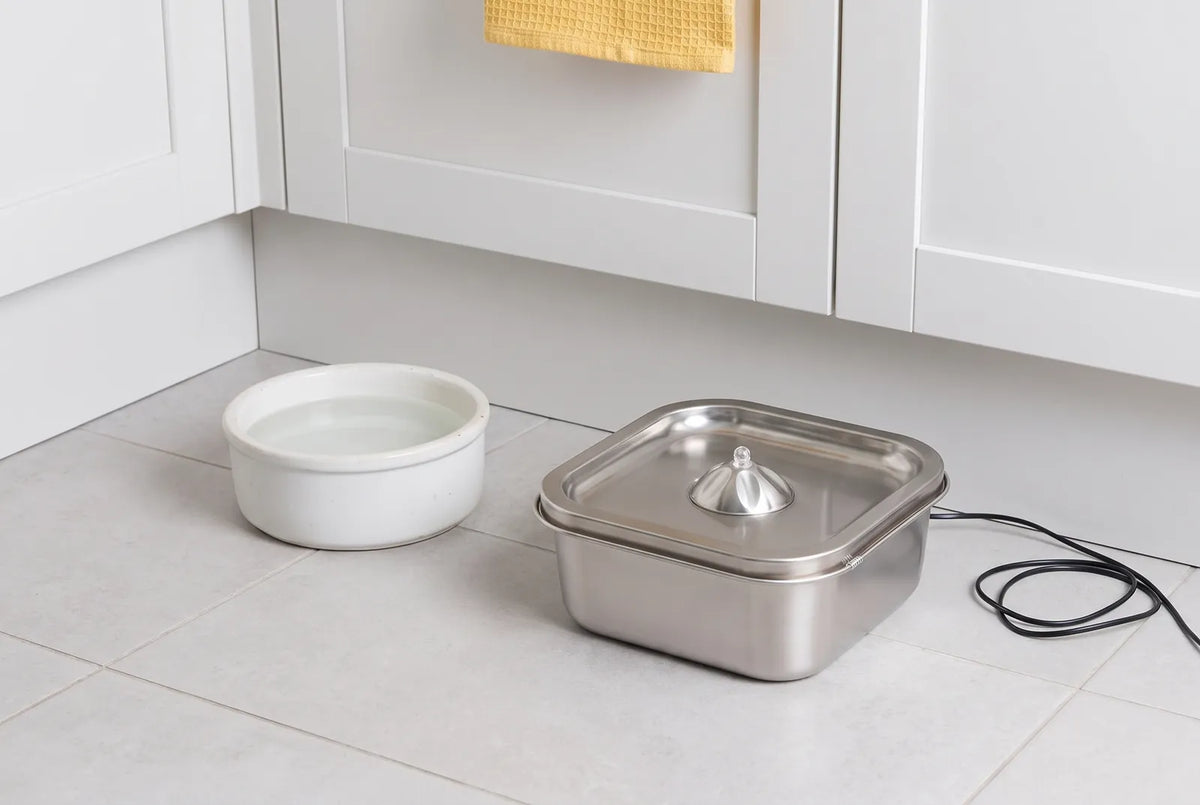La fontaine éteinte posée à côté d’un bol d’eau blanc en céramique, sur le carrelage d’une cuisine